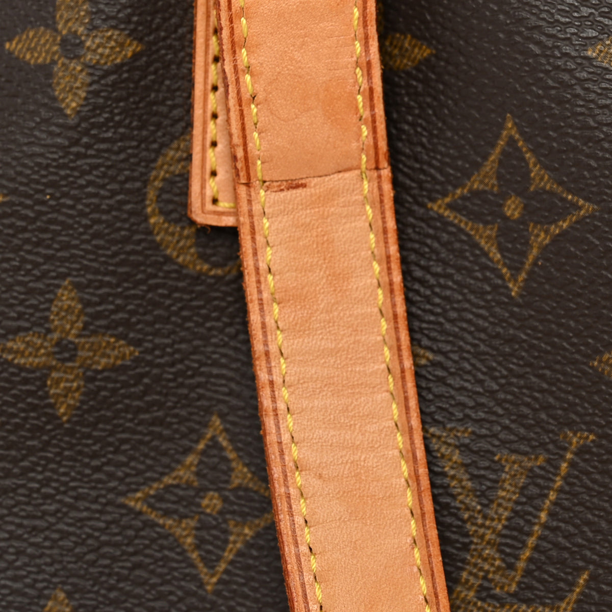 Monogram Cabas Mezzo