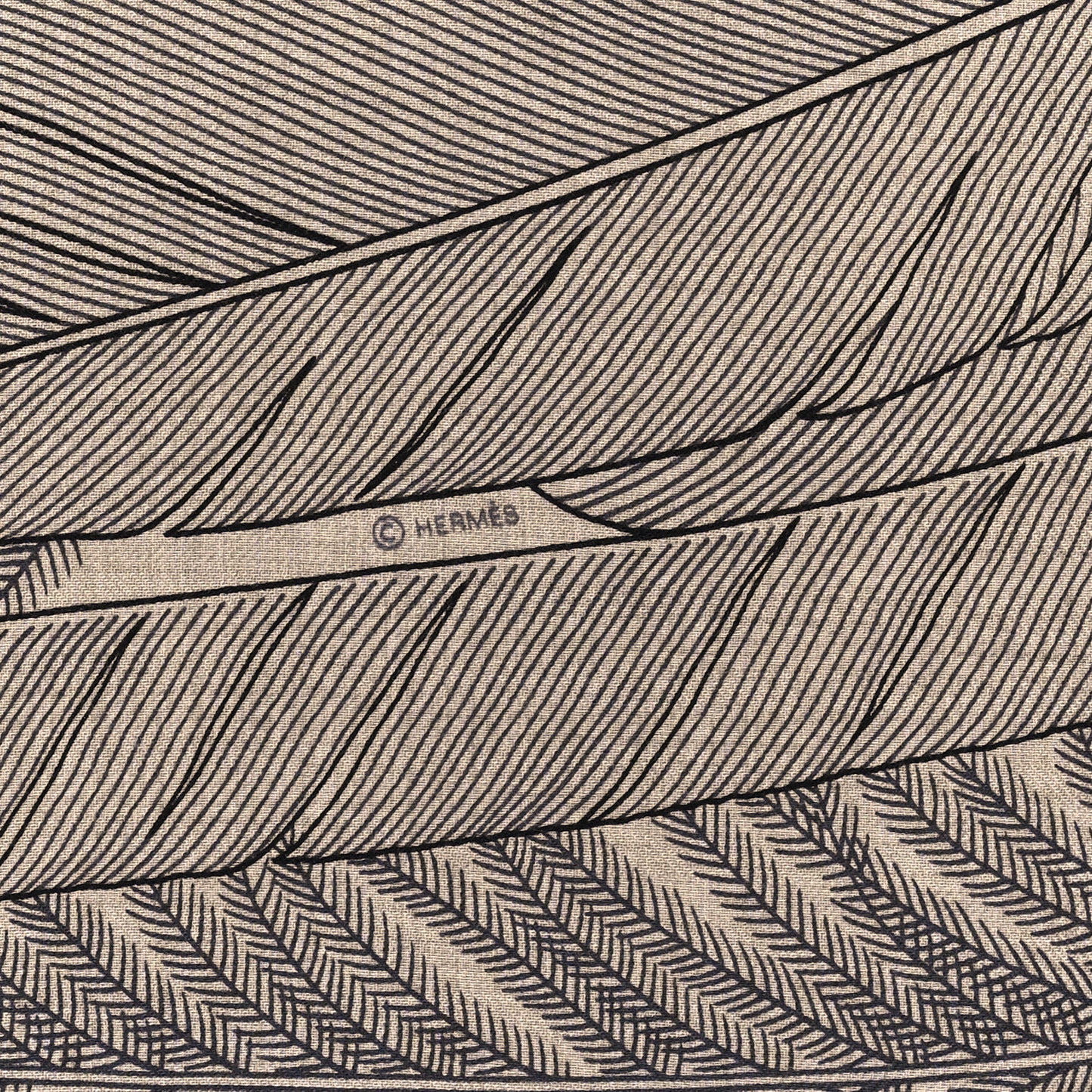 Cashmere Silk Plumes En Fete Shawl 140 Naturel Black
