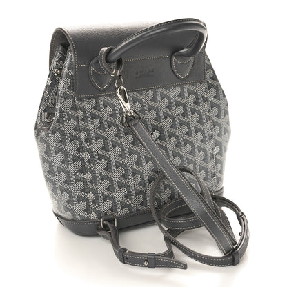 Goyard Goyardine Calfskin Mini Alpin Backpack Grey 3 of 11