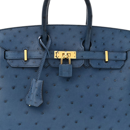 Hermes Ostrich Birkin 25 Deep Blue 8 of 11
