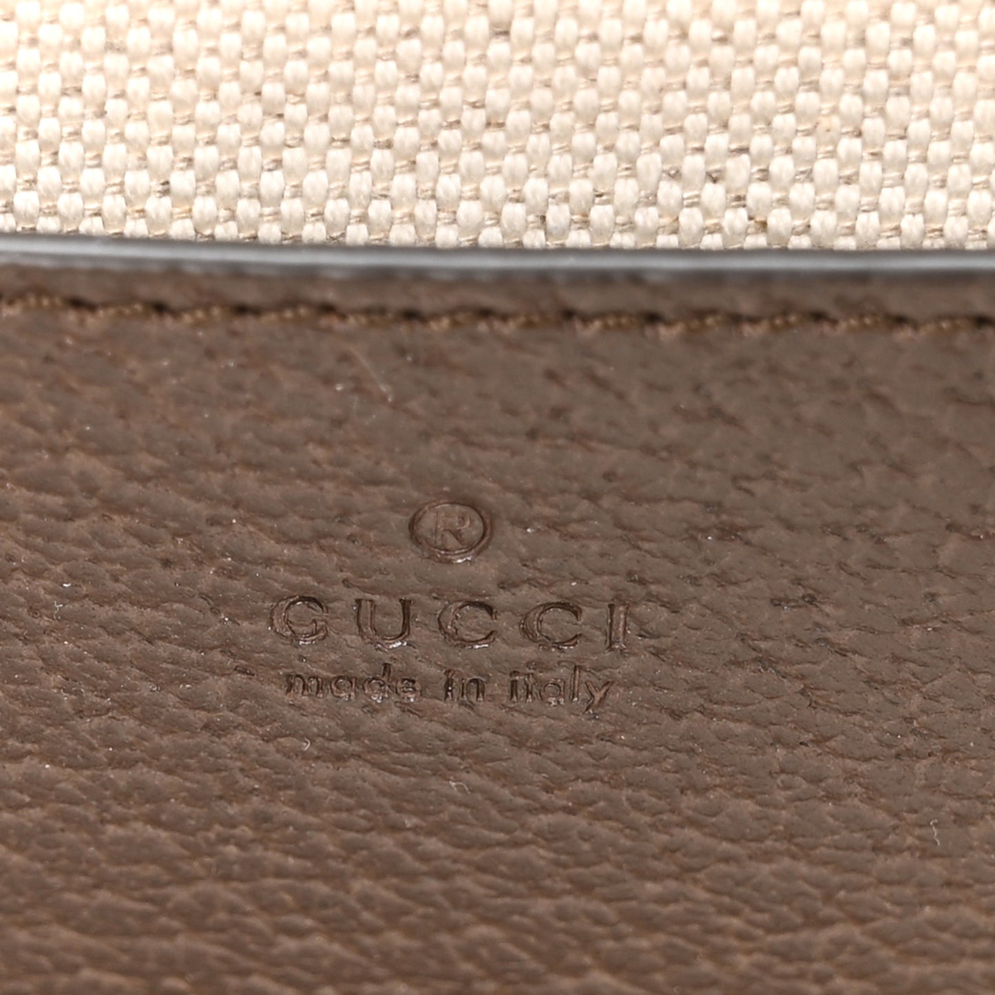 GG Supreme Monogram Textured Dollar Calfskin Web Mini Ophidia Envelope Shoulder Bag Beige Ebony