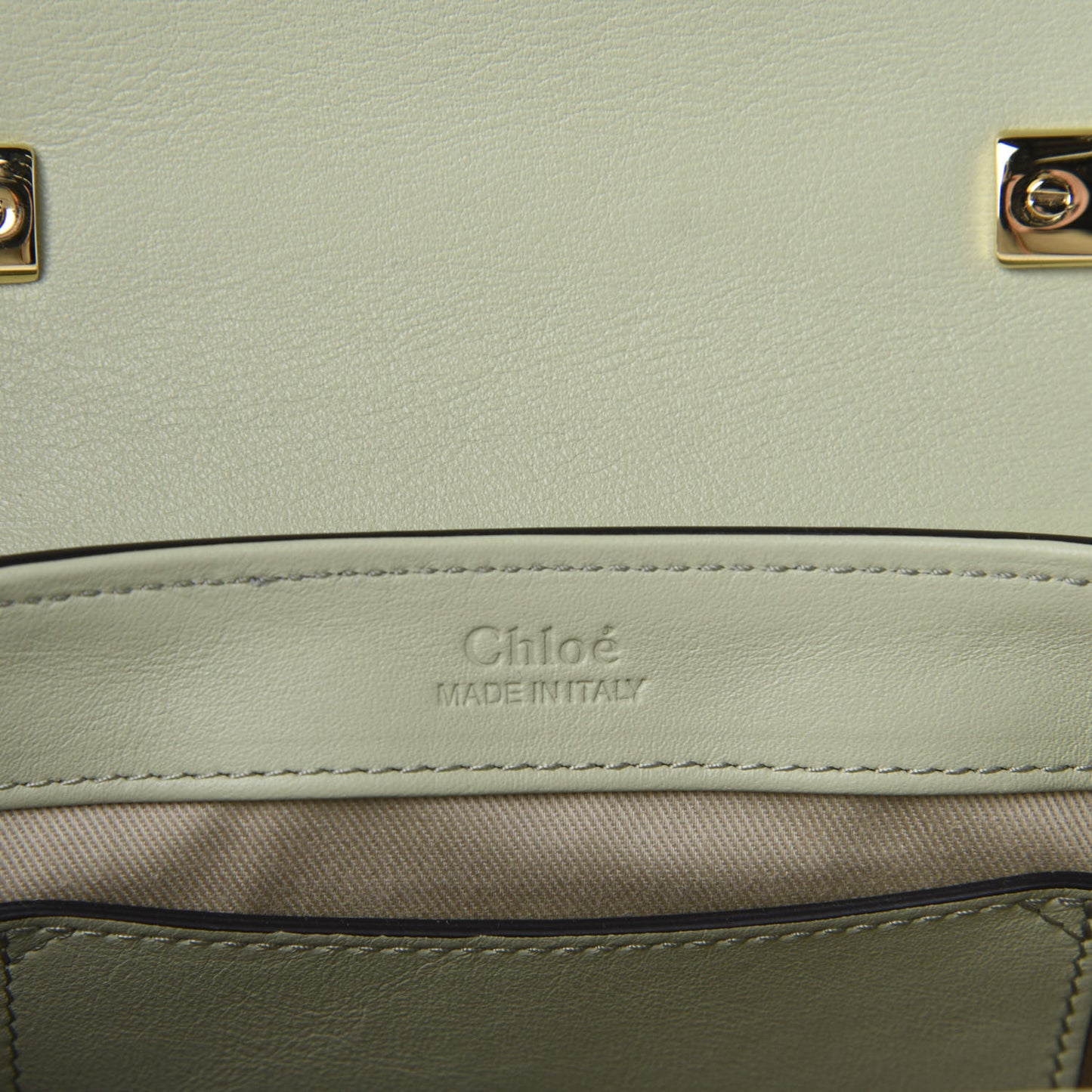 Calfskin Crocodile Embossed Mini C Double Carry Light Eucalyptus