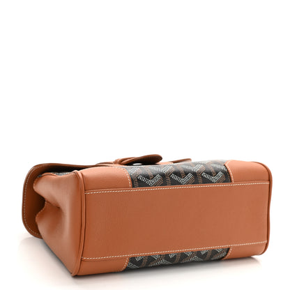 Goyard Goyardine Mini Saigon Black Gold 4 of 7