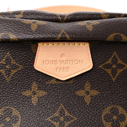 Louis Vuitton Monogram Bumbag 10 of 13
