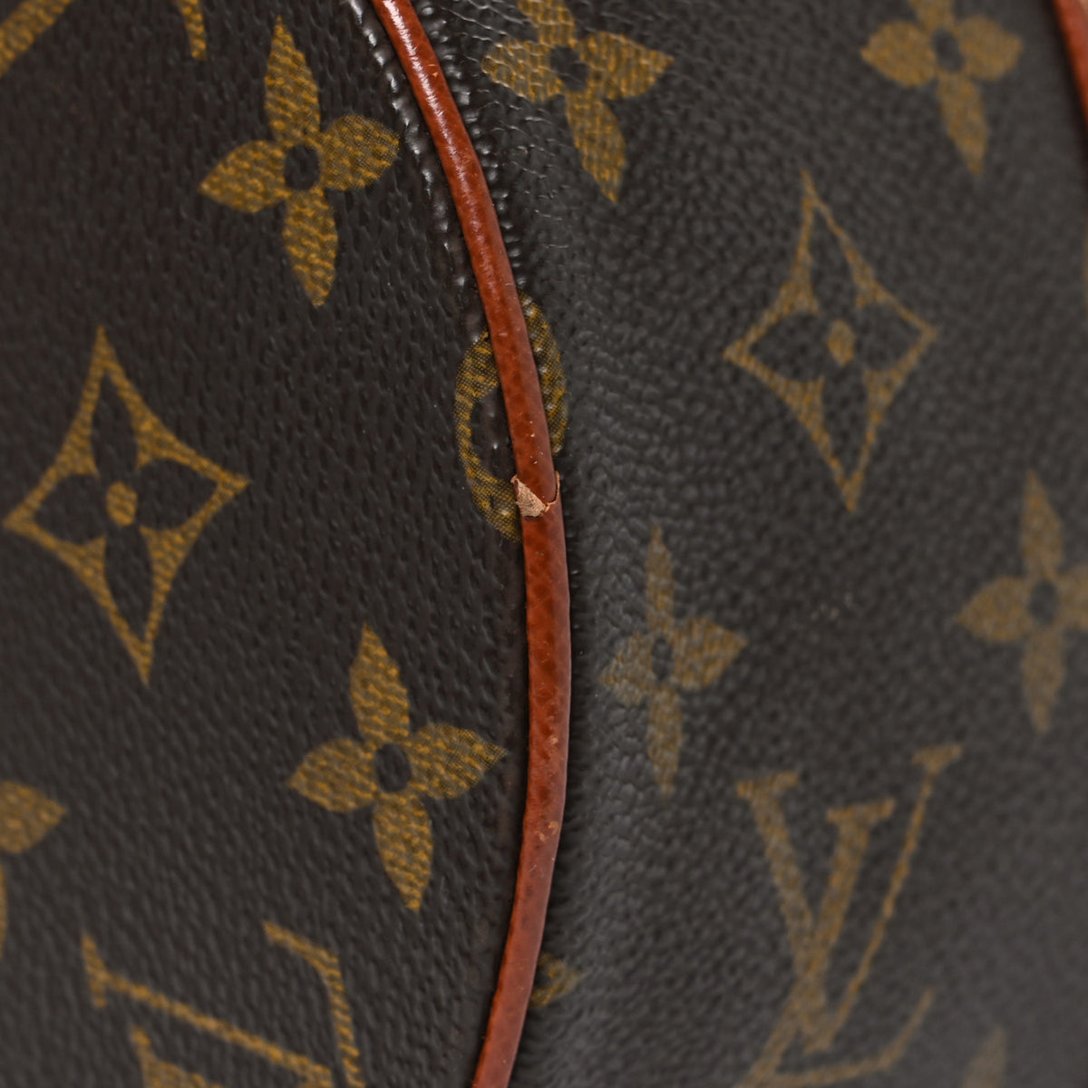 Monogram Papillon 30 with Companion