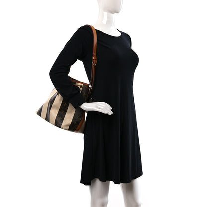 Louis Vuitton Monogram Rayures Petit Noe 2 of 18