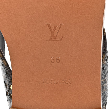 Louis Vuitton Monogram Sunny Flat Thong Sandals 36 Brown 6 of 9