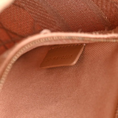 Christian Dior Canvas Embroidered Cannage Medium Lady D-Lite Pink 7 of 22