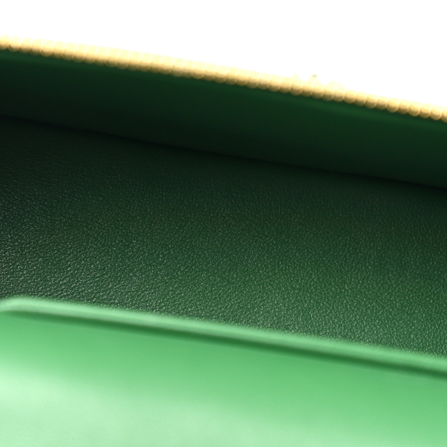 Calfskin Crocodile Embossed Crococo Exoticoco Vanity With Chain Emerald