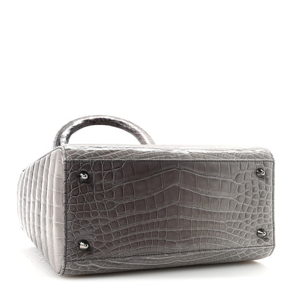 Christian Dior Alligator Medium Lady Dior Grey 4 of 9