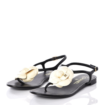 Chanel Lambskin Camellia Thong Sandals 35.5 Black White 2 of 11
