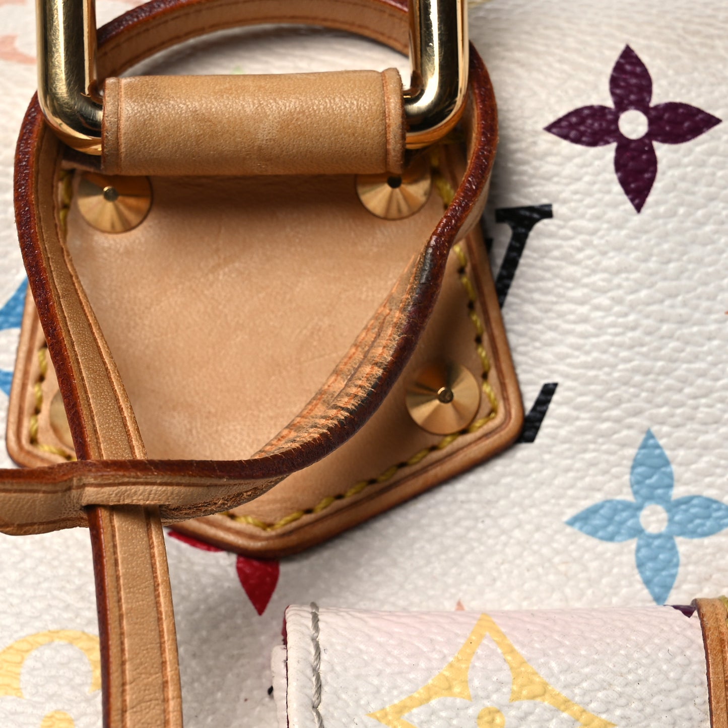 Monogram Multicolor Speedy 30 White