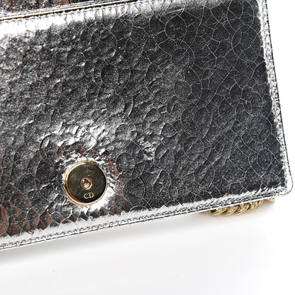 Christian Dior Metallic Ceramic Effect Deerskin Diorama Wallet on Chain Pouch Silver 8 of 11