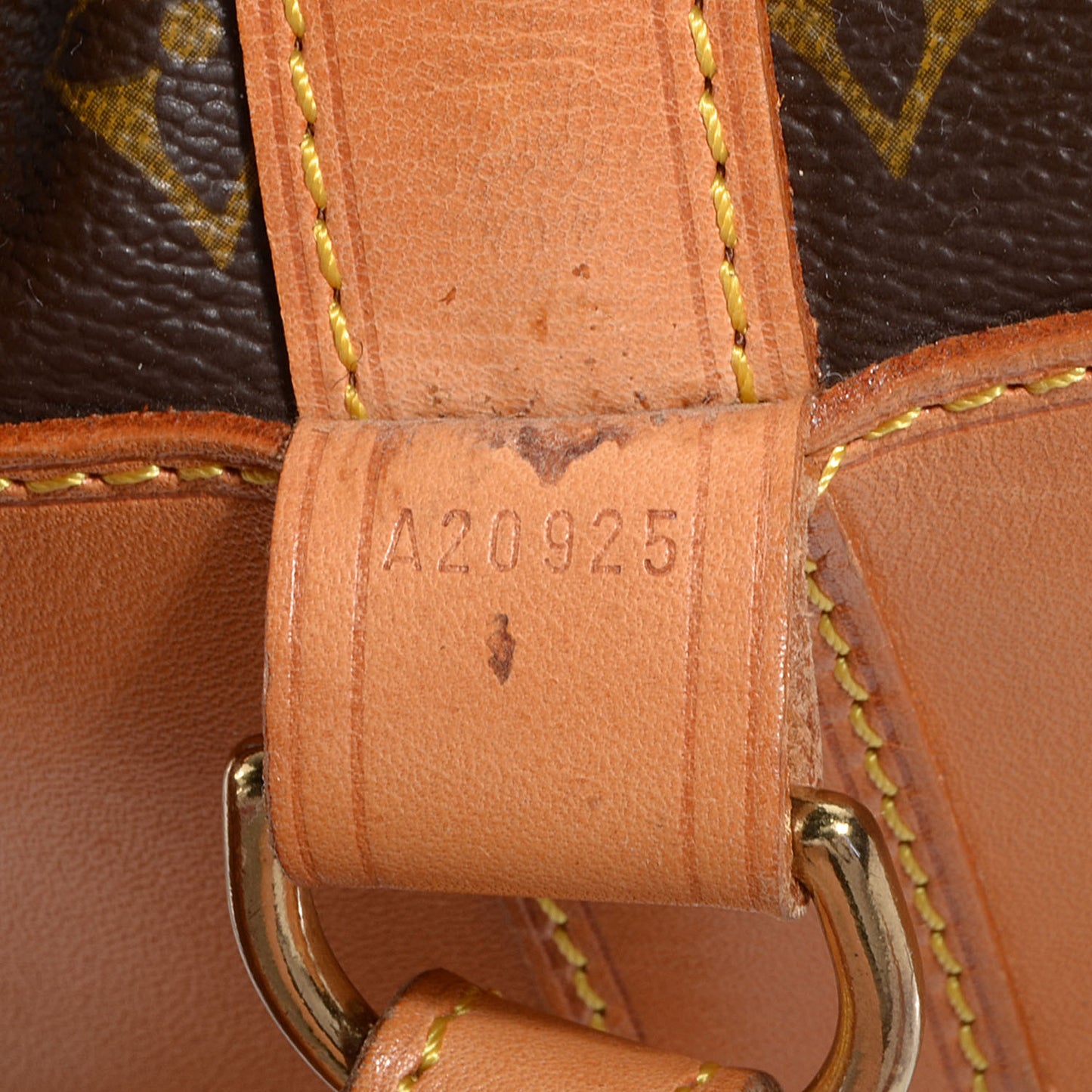 Monogram Randonnee GM Backpack