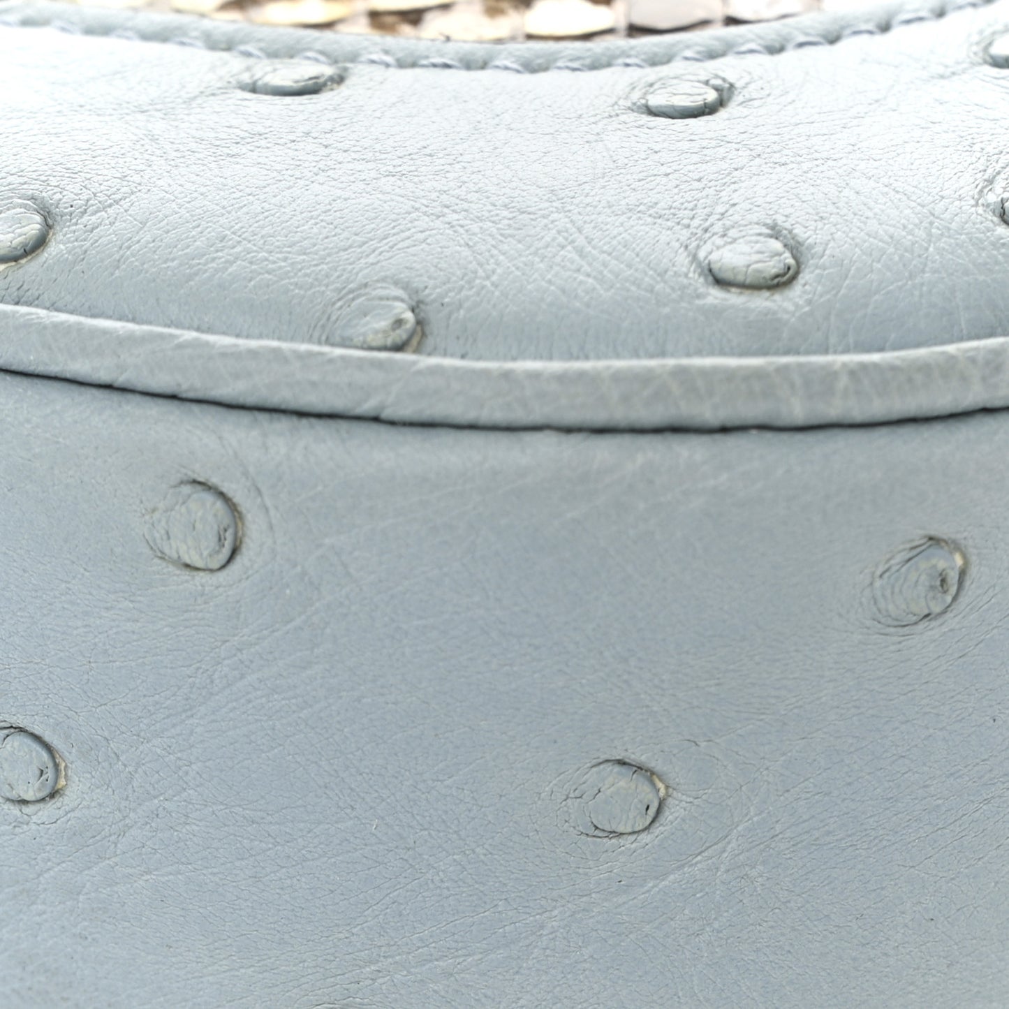 Snakeskin Ostrich Calfskin Small Jackie 1961 Hobo Blue Multicolor
