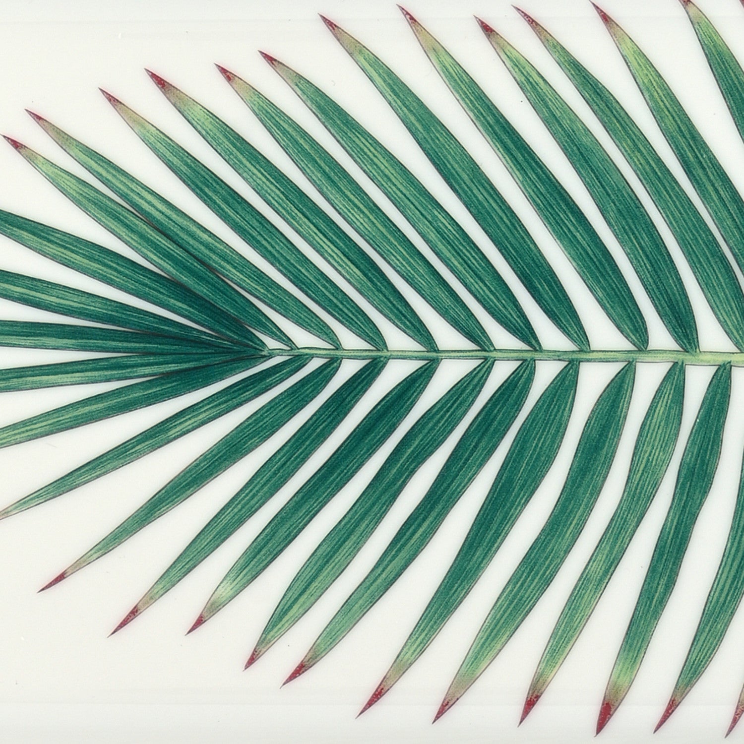 Hermes Porcelain Small Passifolia Tray N°2 7 of 9