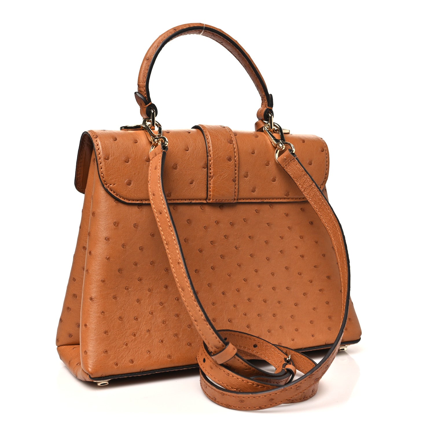Louis Vuitton Ostrich Rose Des Vents PM Cognac 4 of 11