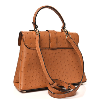 Louis Vuitton Ostrich Rose Des Vents PM Cognac 4 of 11