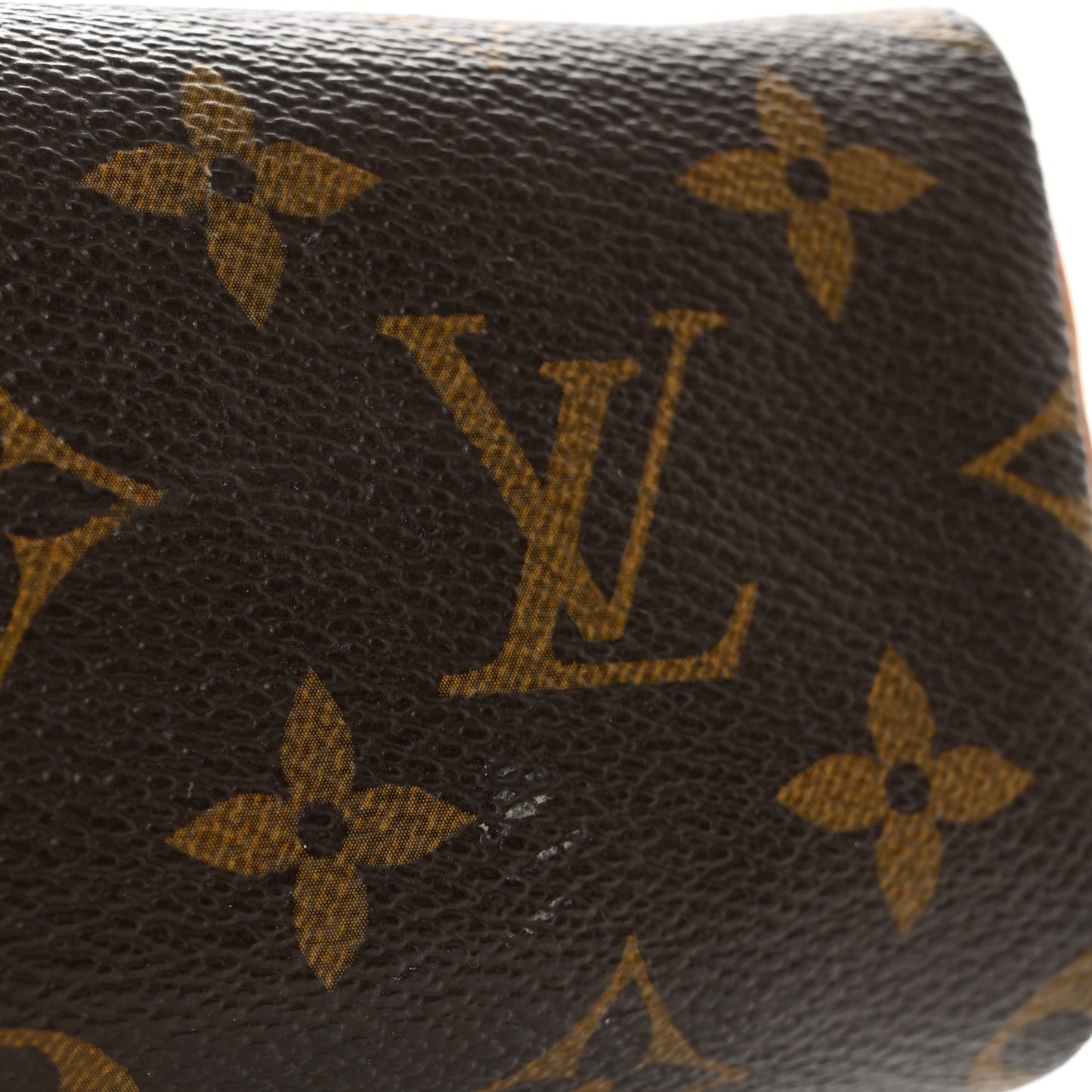 Monogram Mini Sac HL Speedy