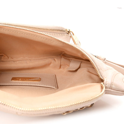 Chanel Iridescent Calfskin Quilted All About Waist Belt Bag Beige 5 of 10