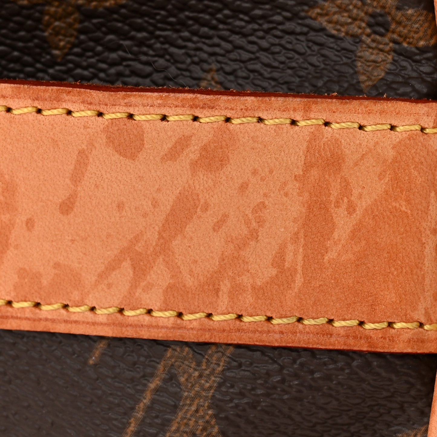 Monogram Carryall