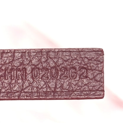 Goyard Goyardine Saint Louis PM Bordeaux 8 of 11