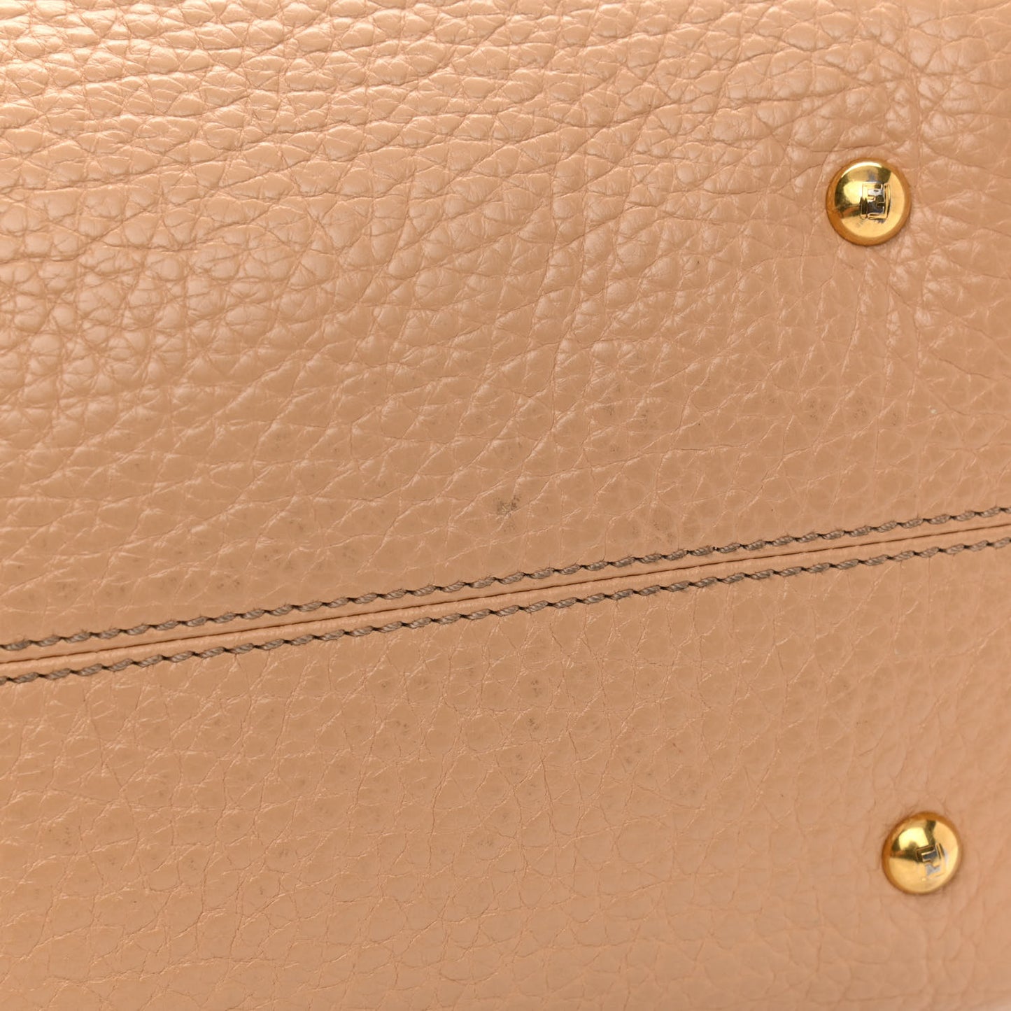 Pebbled Calfskin Small Chameleon Tote Beige