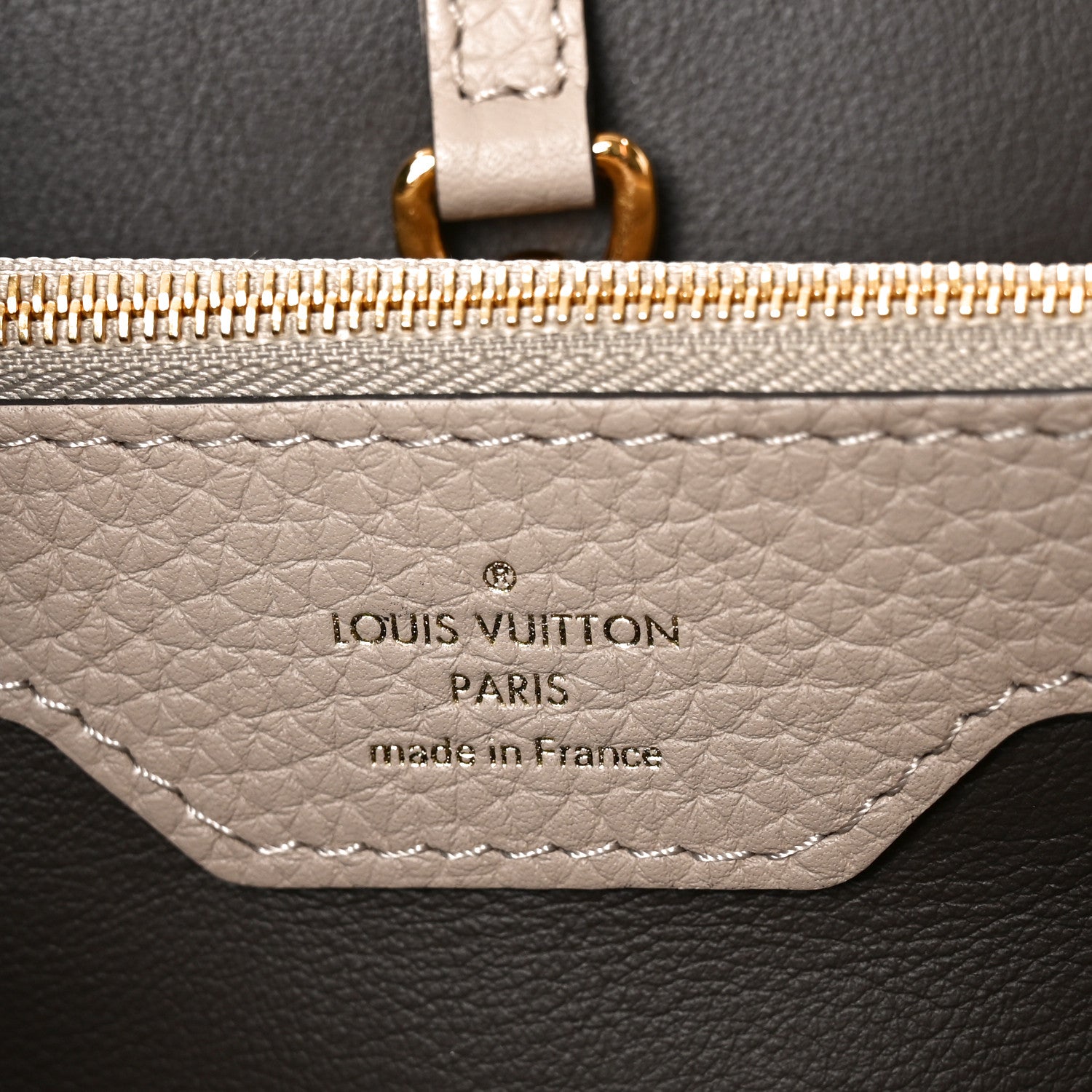 Louis Vuitton Taurillon Snakeskin Capucines Galet 6 of 9