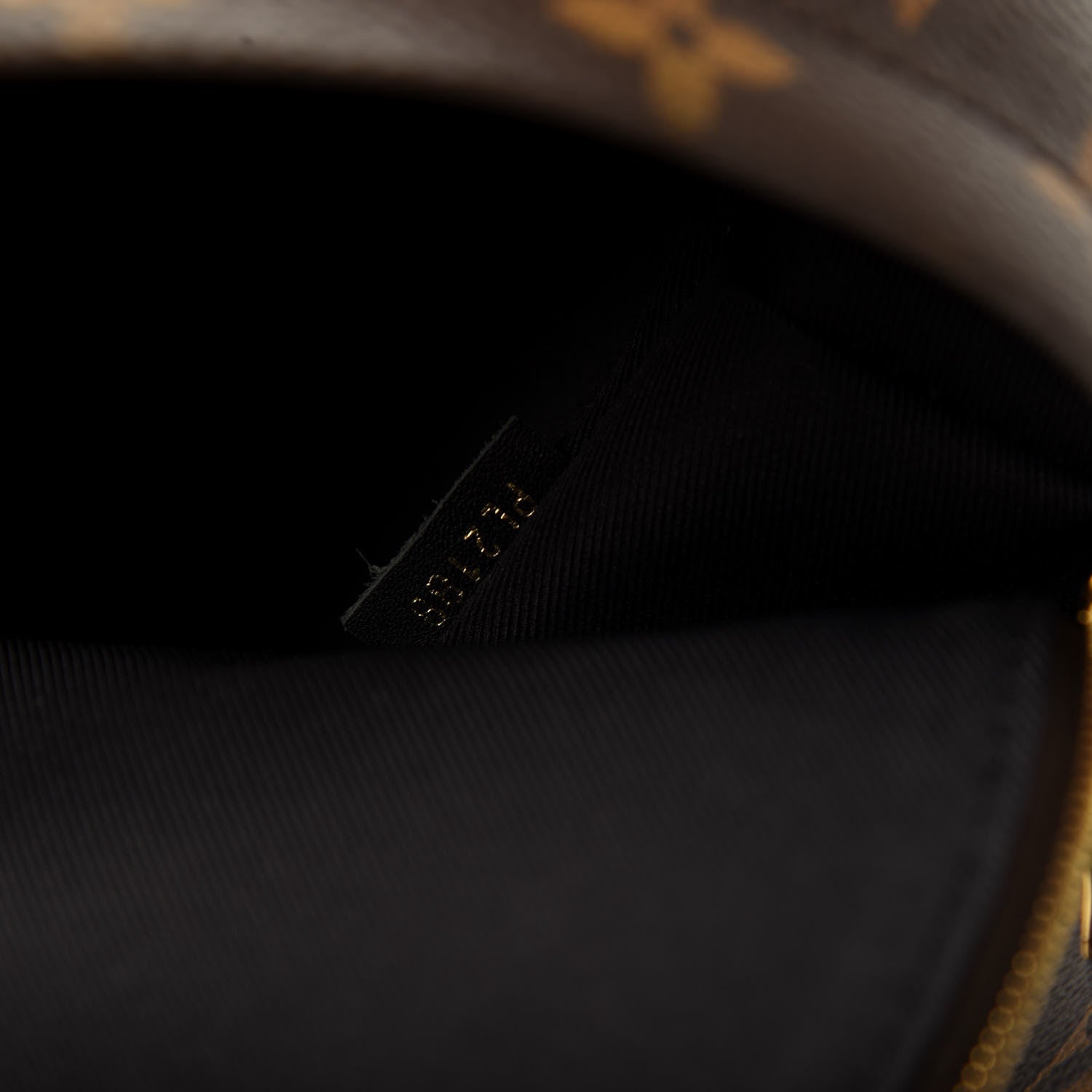 Louis Vuitton Monogram Palm Springs Backpack Mini 7 of 11
