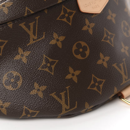 Louis Vuitton Monogram Bumbag 6 of 10