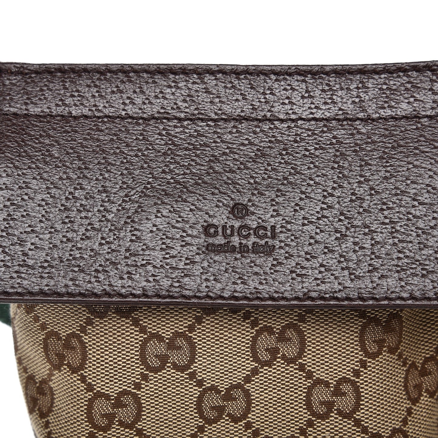 Monogram Web Belt Bag Dark Brown