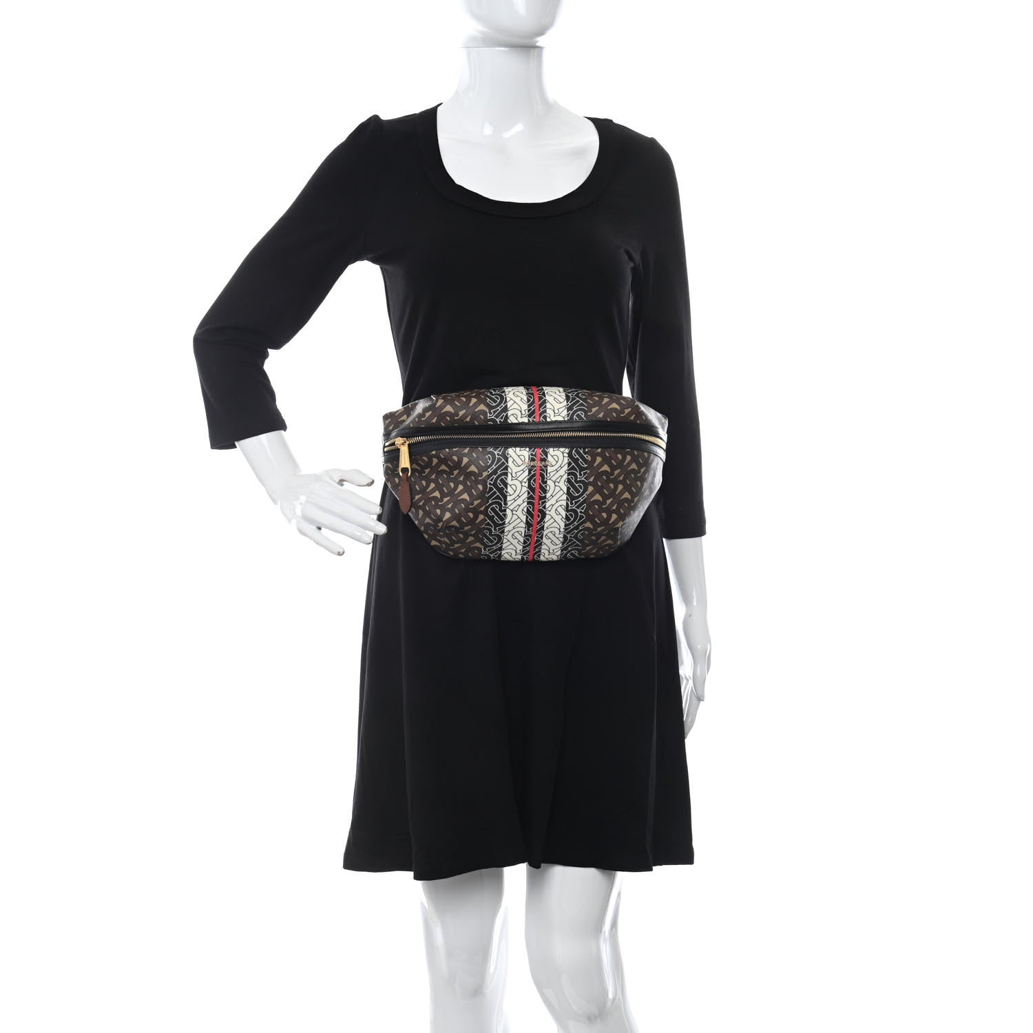 Burberry E-Canvas Monogram Stripe Medium Sonny Bum Bag Bridle Brown 2 of 9