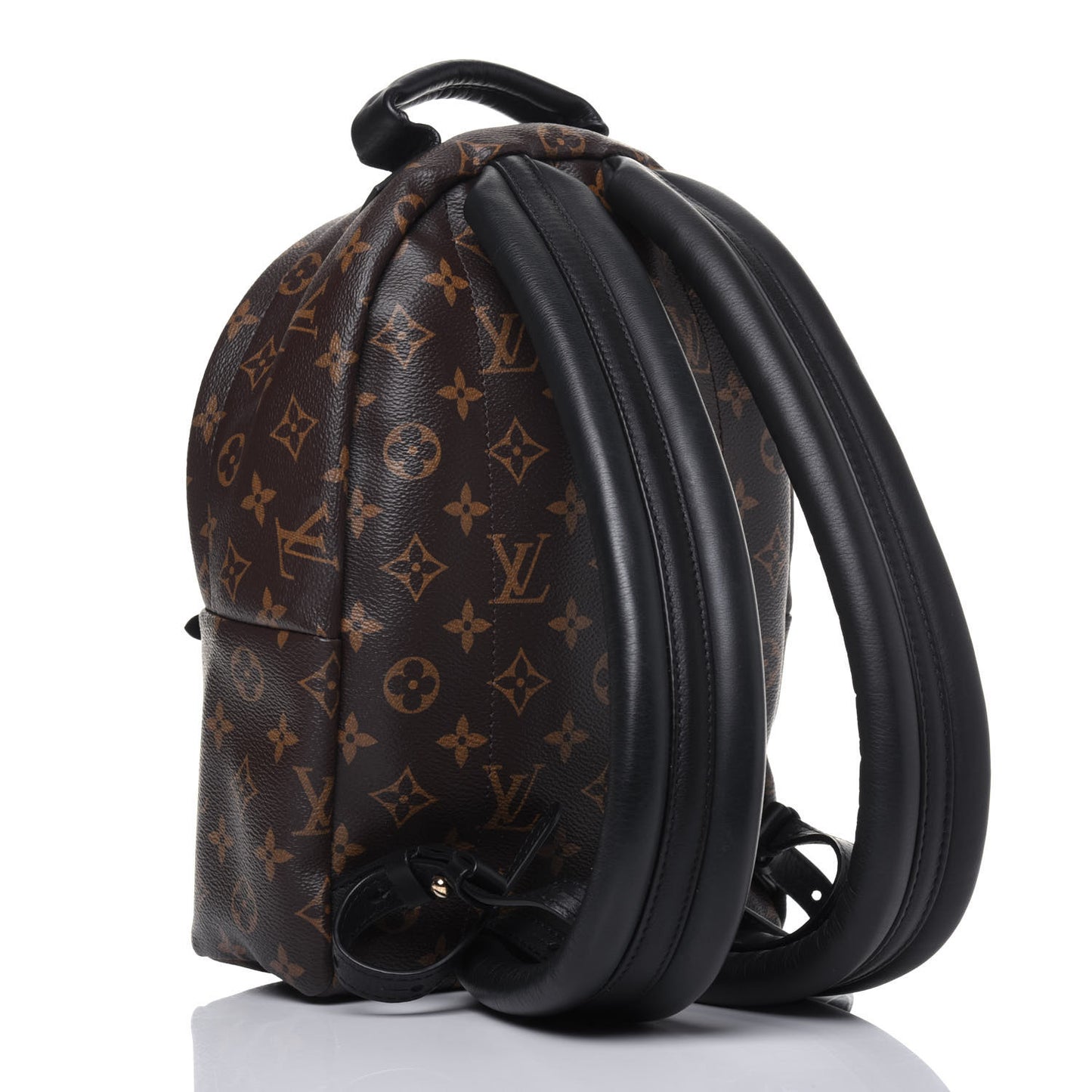 Monogram Palm Springs Backpack PM
