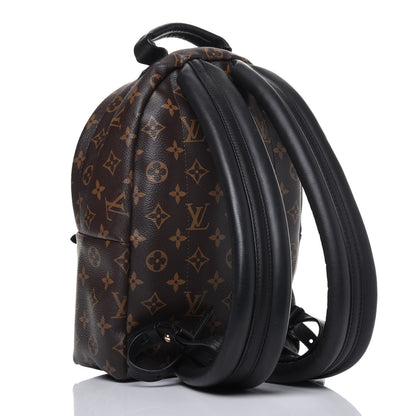 Louis Vuitton Monogram Palm Springs Backpack PM 2 of 12