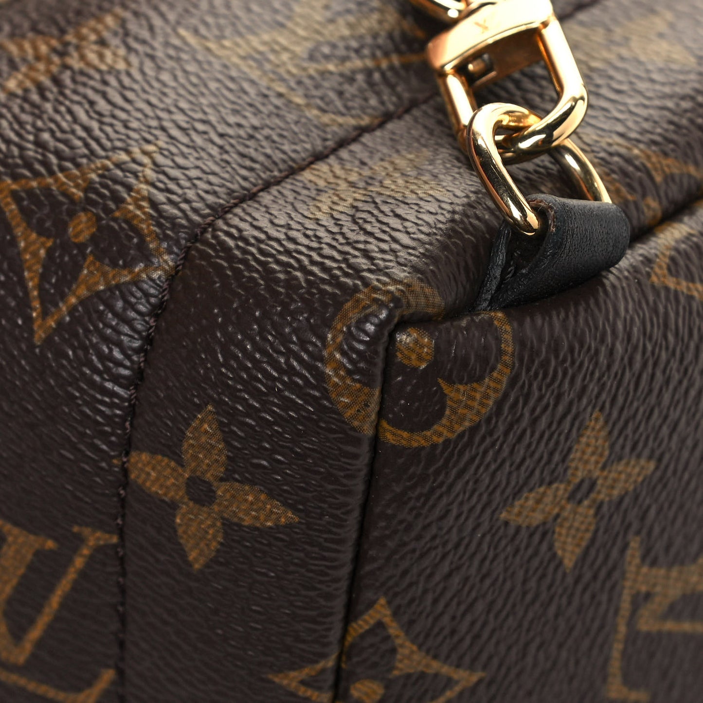 Monogram Palm Springs Backpack Mini