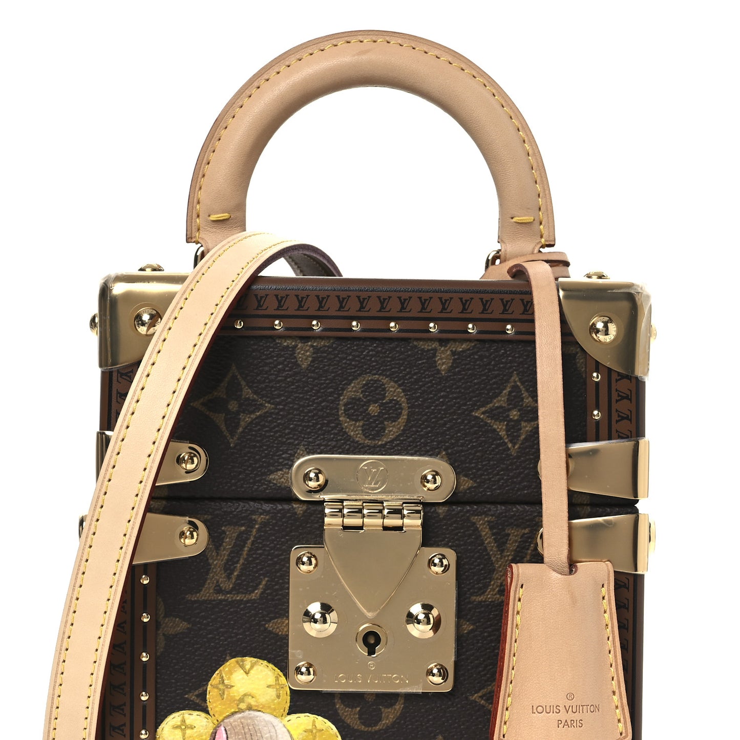 Monogram Vivienne Camera Box