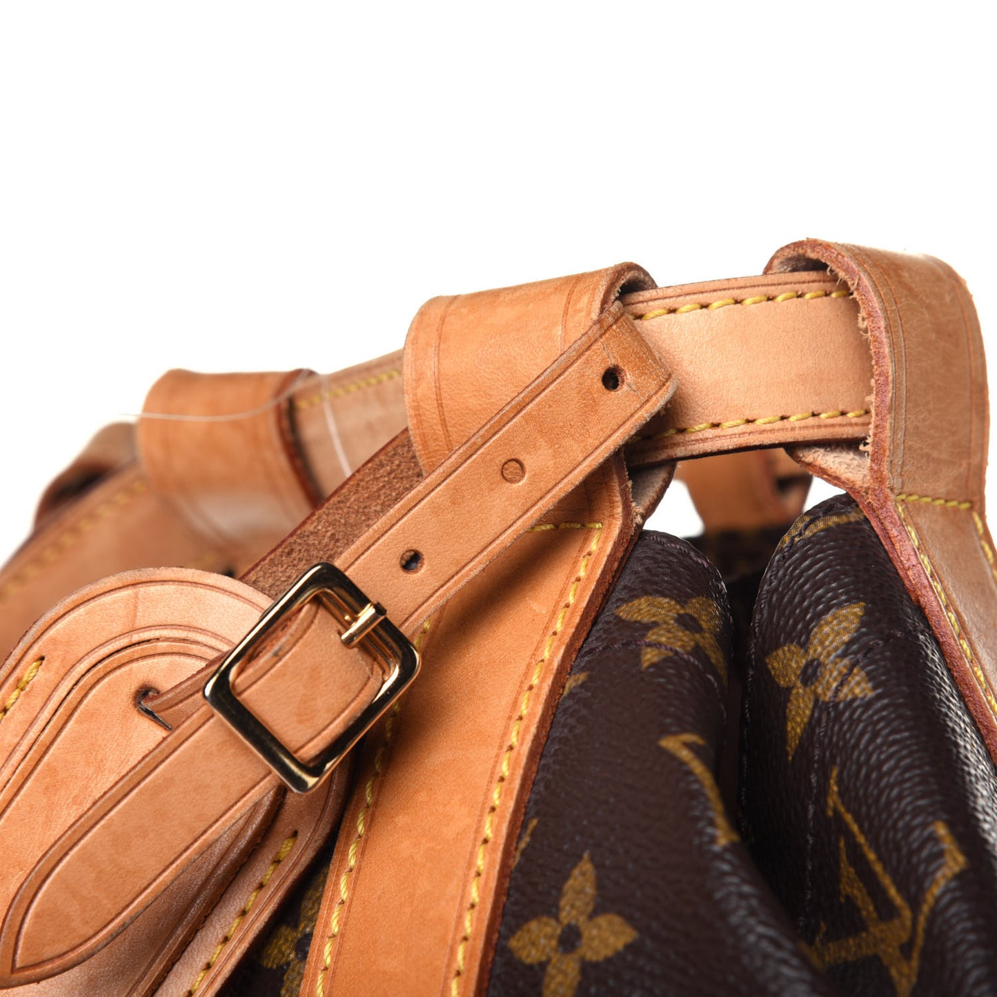 Monogram Randonnee GM Backpack