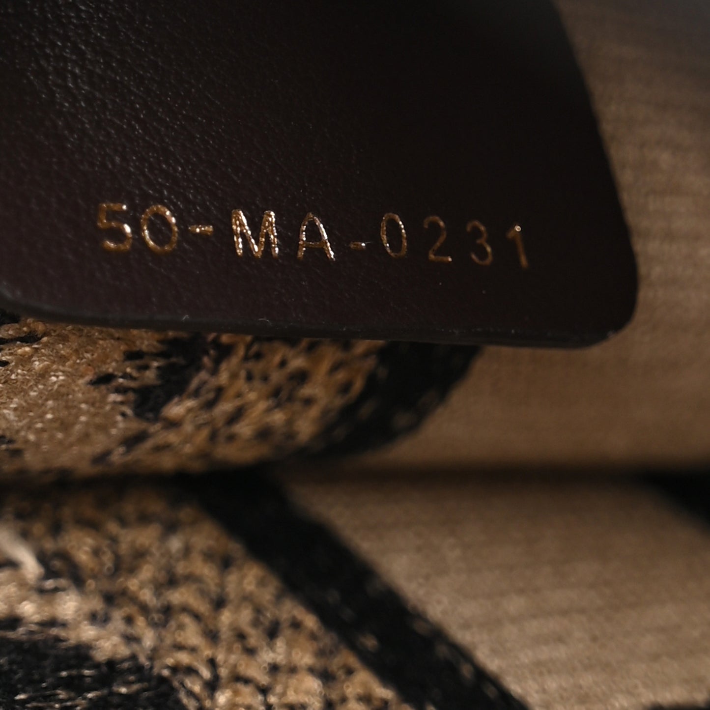 Canvas Mizza Embroidered Mini Leopard Book Tote Beige