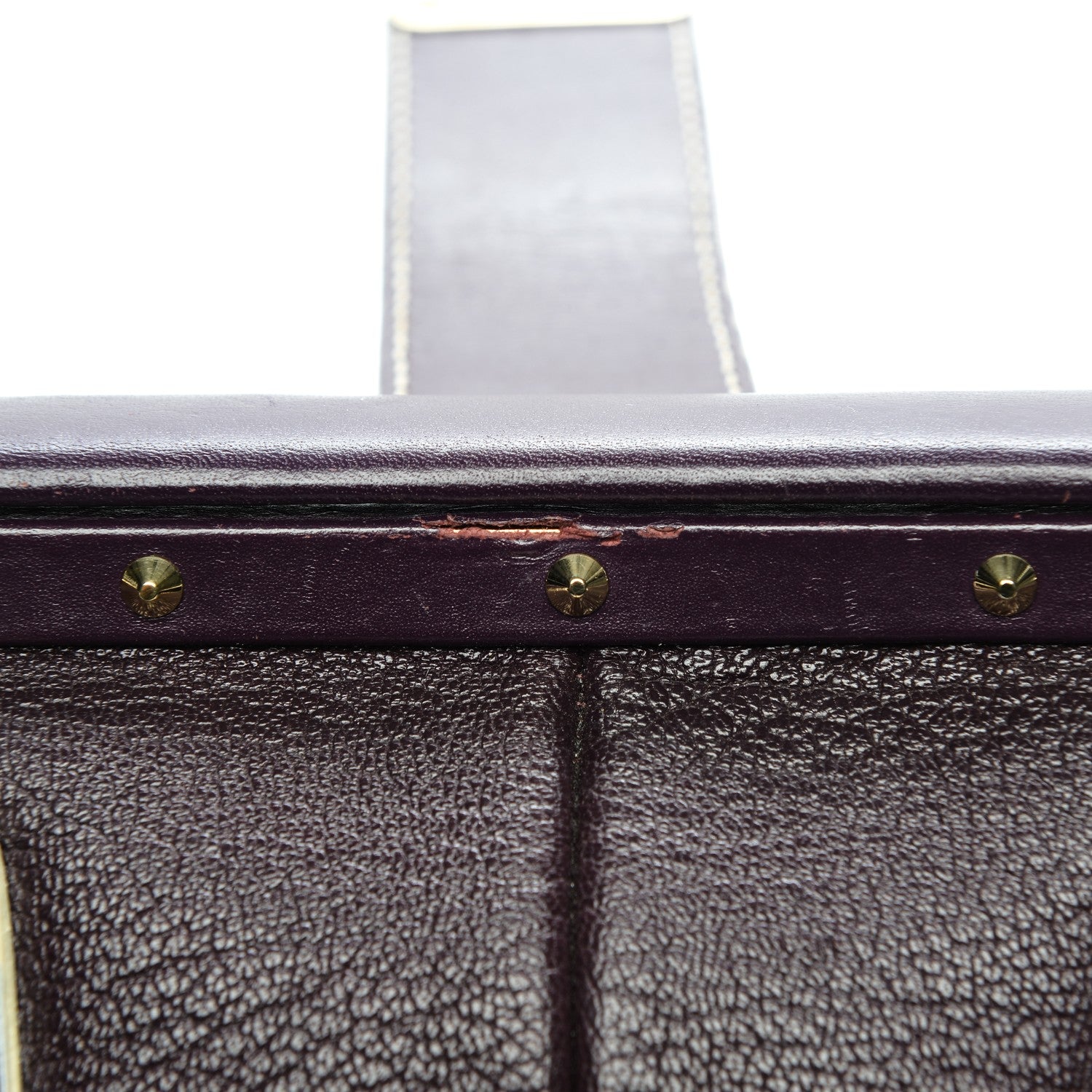 Louis Vuitton Suhali L Ingenieux PM Prune 10 of 12