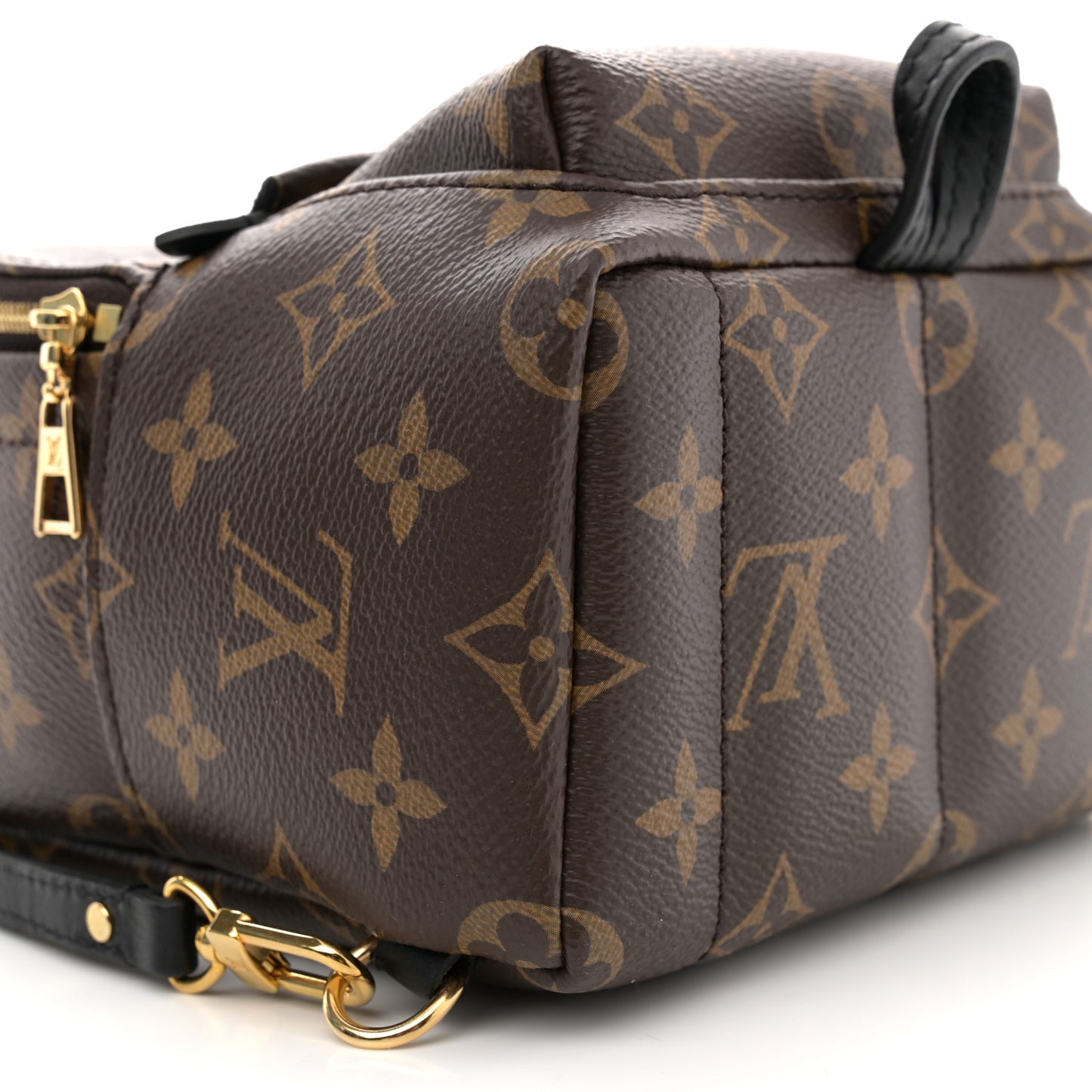 Monogram Palm Springs Backpack Mini