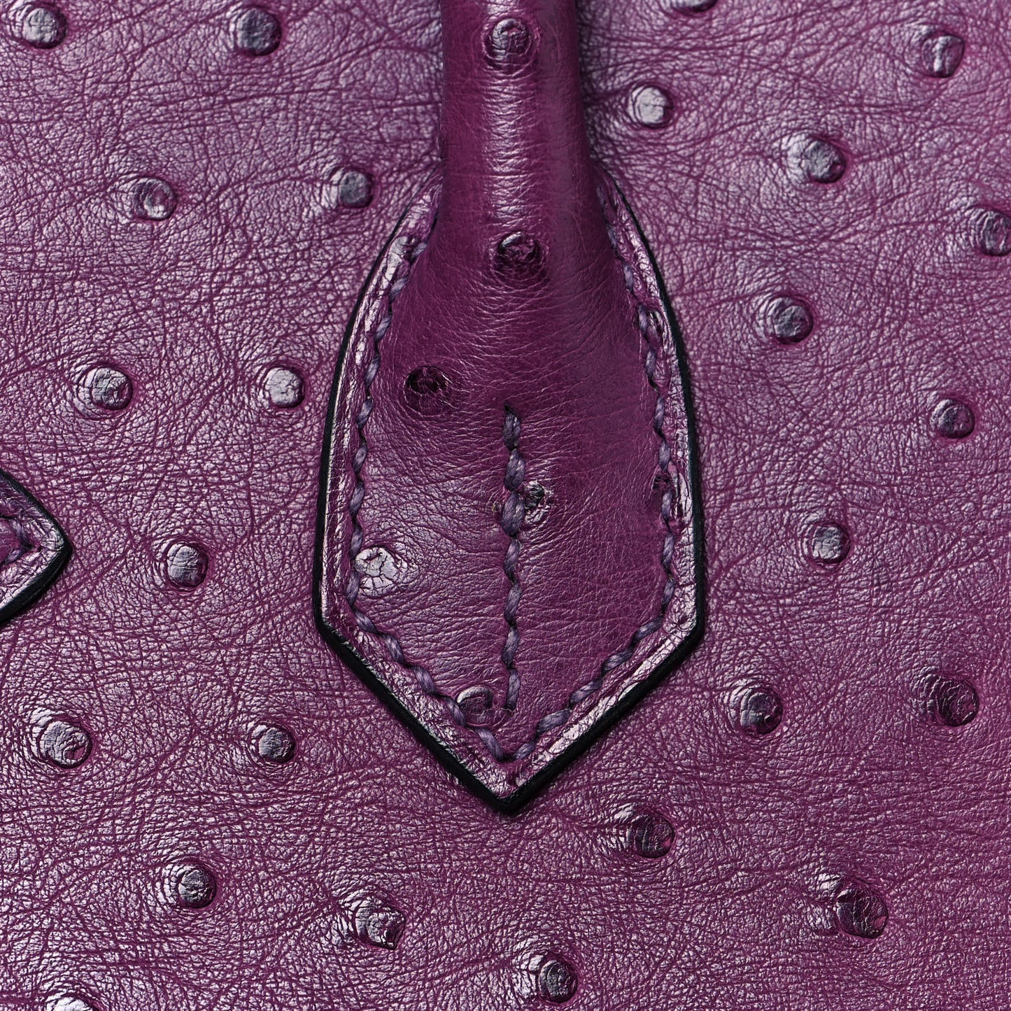 Ostrich Birkin 30 Violine