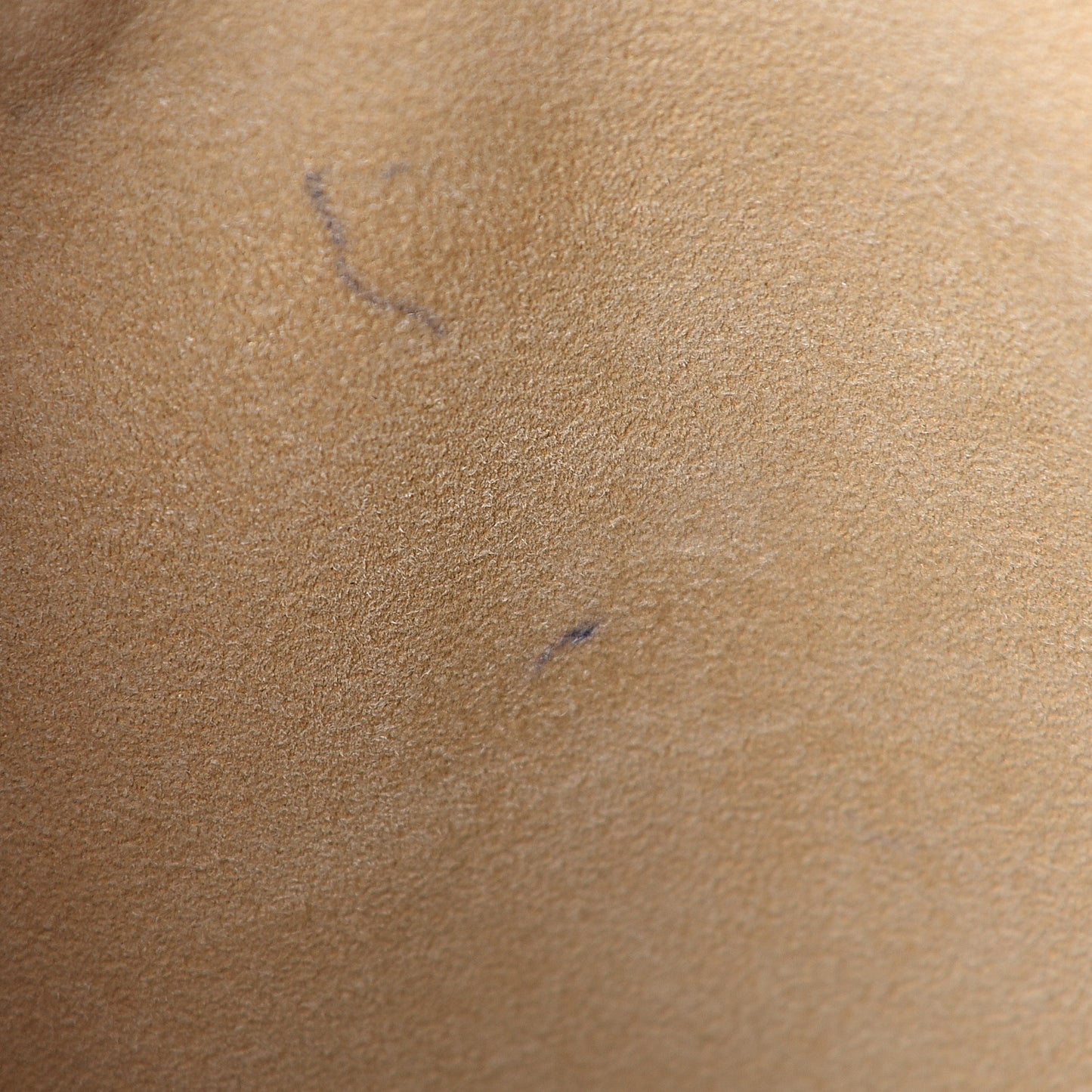Monogram Galliera PM