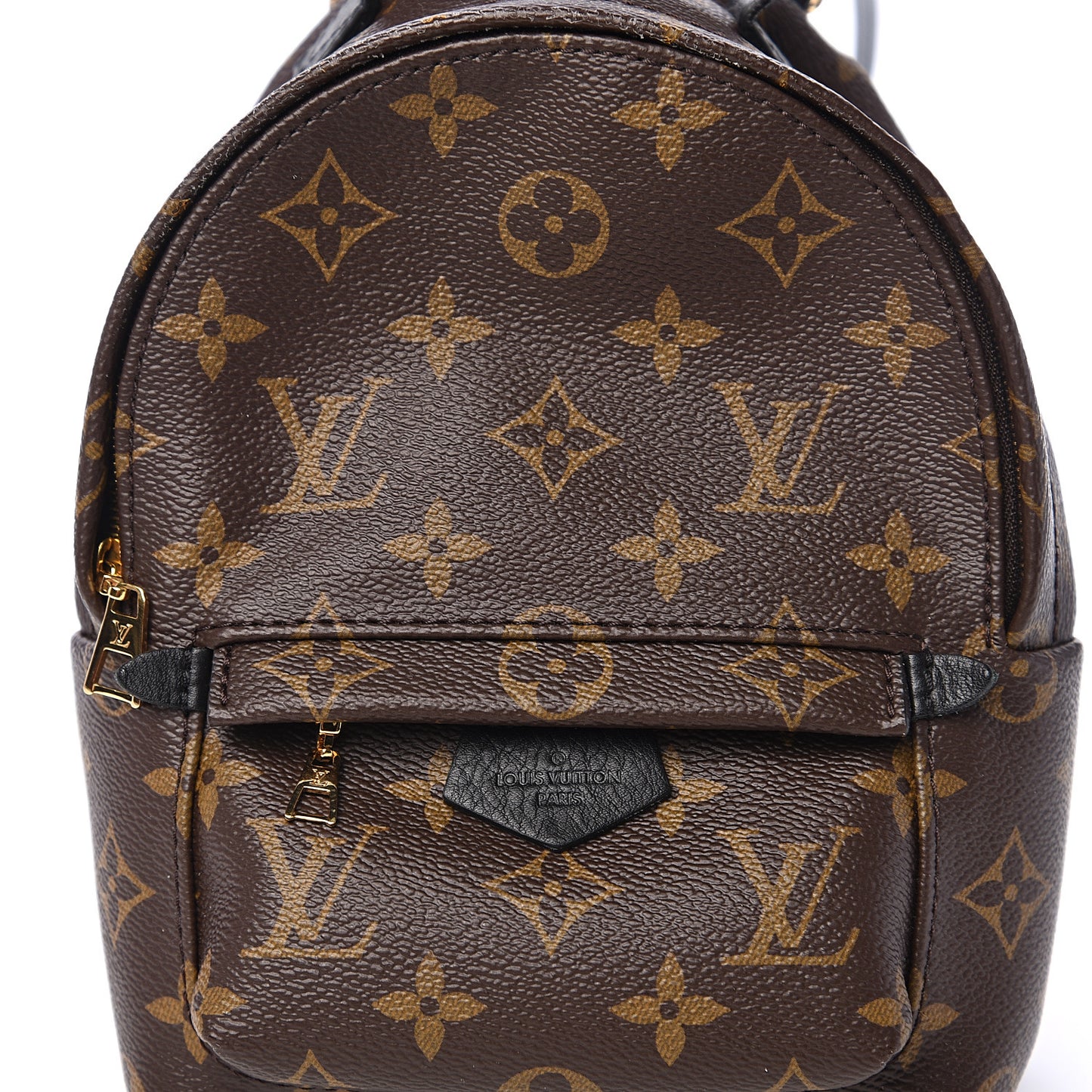 Monogram Palm Springs Backpack Mini