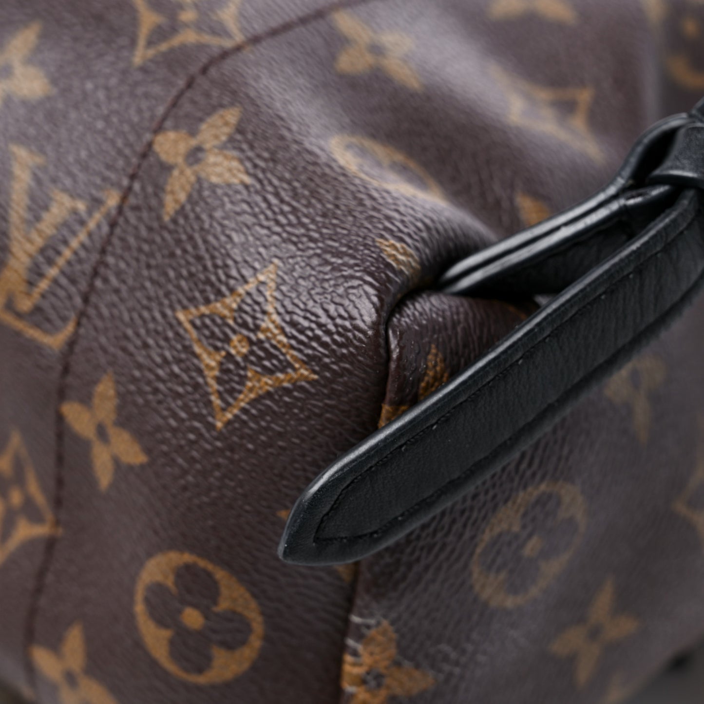 Monogram Palm Springs Backpack PM