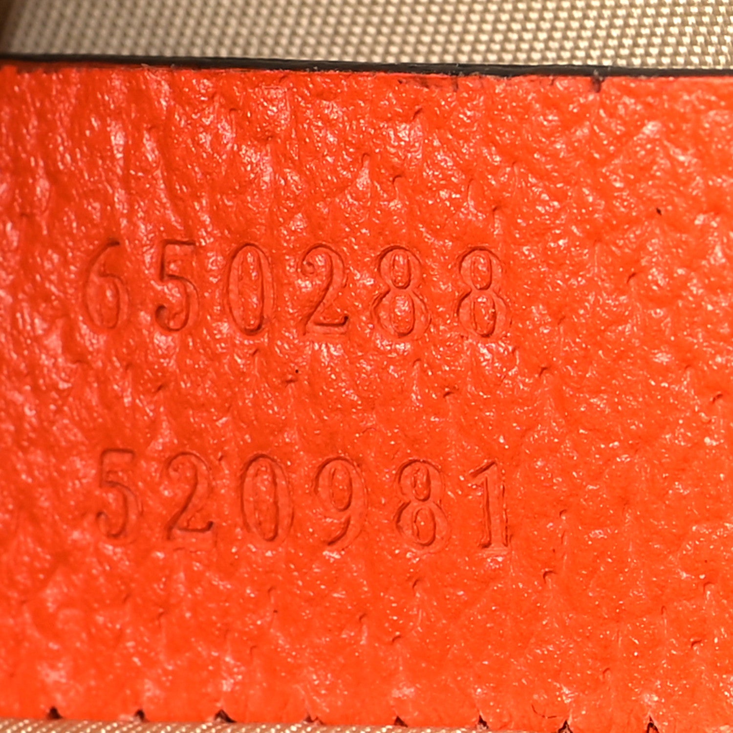 Gucci X THE NORTH FACE Monogram Textured Dollar Calfskin Embroidered Beige Ebony Mystic White Deep Orange 8 of 11