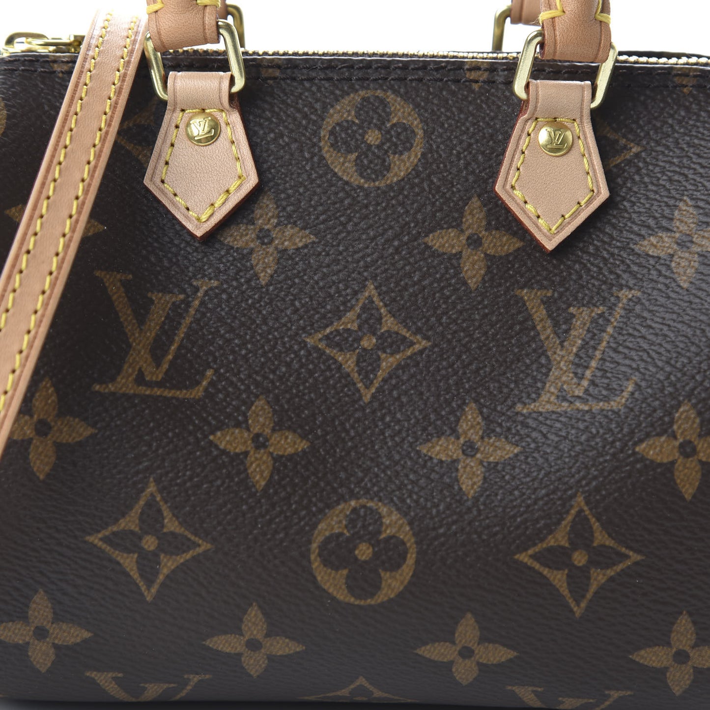 Monogram Nano Speedy