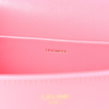 Celine Shiny Calfskin Triomphe Flamingo 7 of 11
