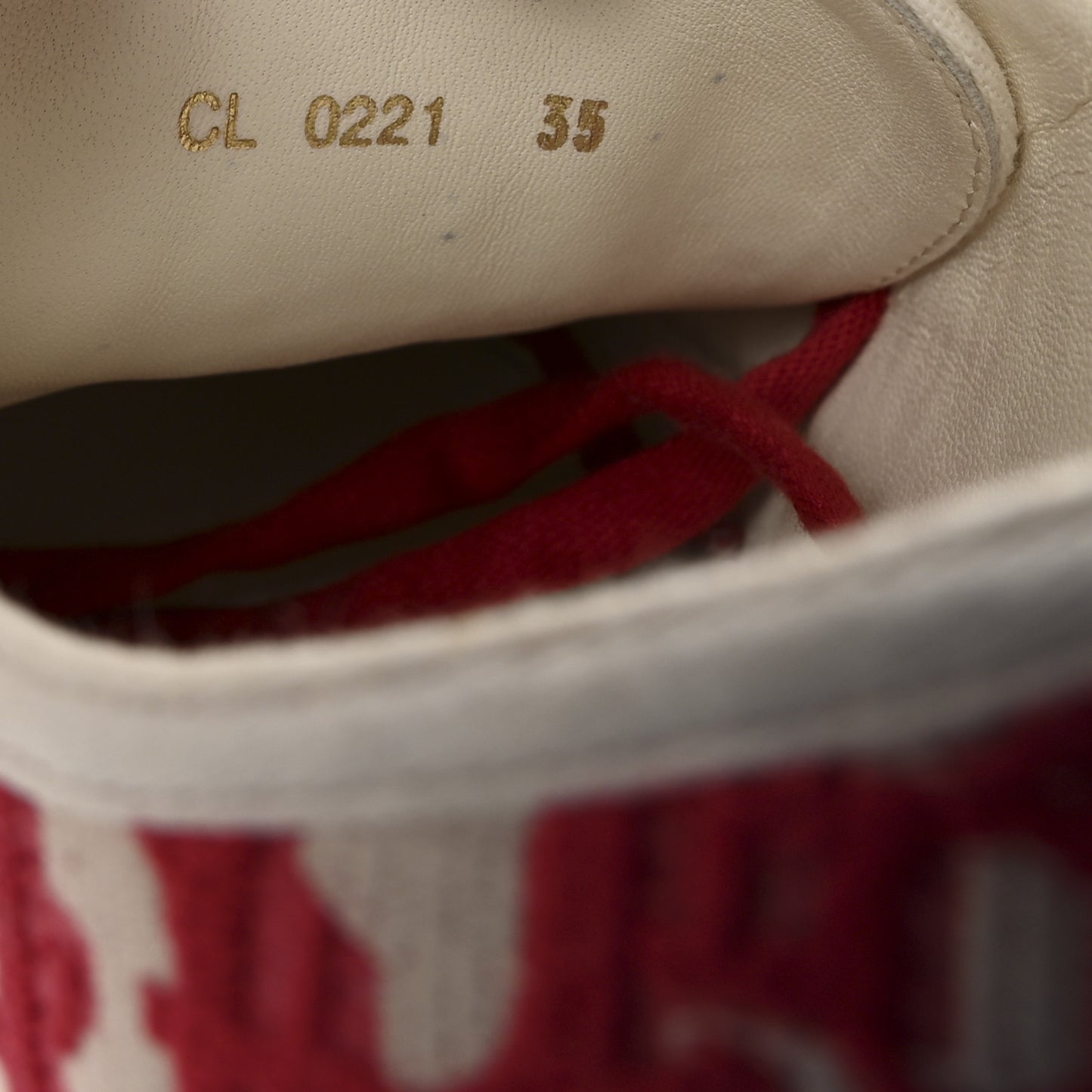 Canvas Oblique Walk'N'Dior Low Top Sneakers 35 Framboise