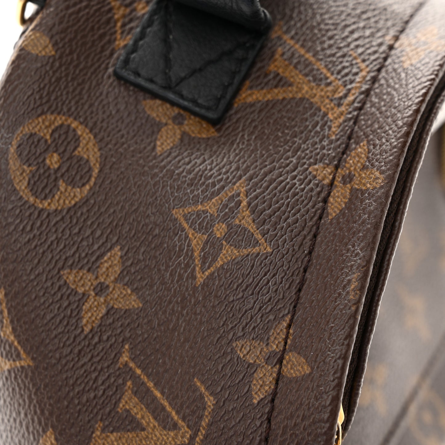 Monogram Palm Springs Backpack Mini
