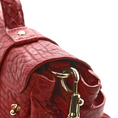Mulberry Shrunken Calfskin Medium Alexa Red 9 of 16